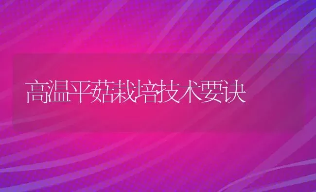 高温平菇栽培技术要诀 | 食用菌种植