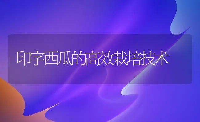 印字西瓜的高效栽培技术 | 瓜果种植