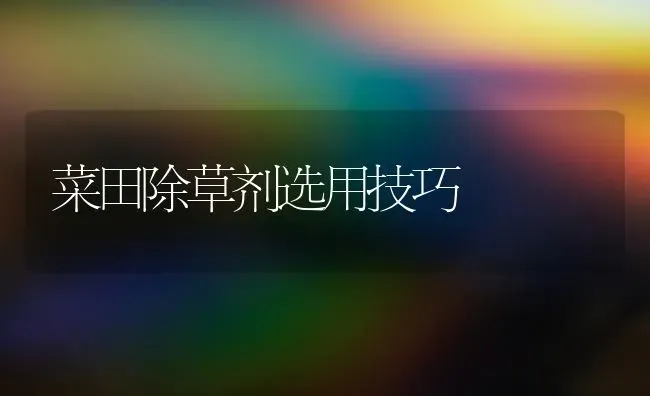 菜田除草剂选用技巧 | 蔬菜种植