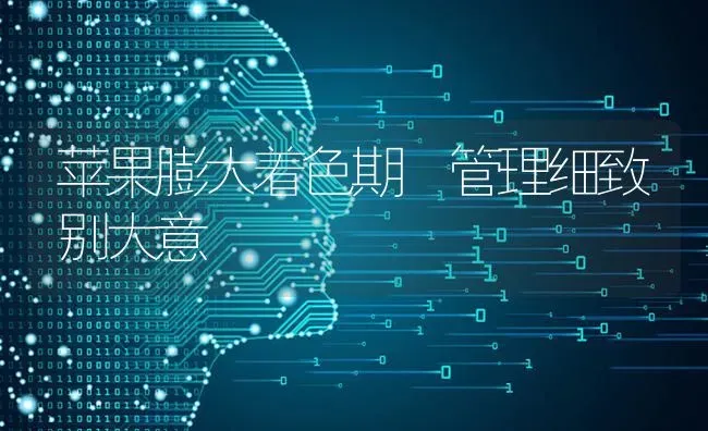 苹果膨大着色期 管理细致别大意 | 瓜果种植