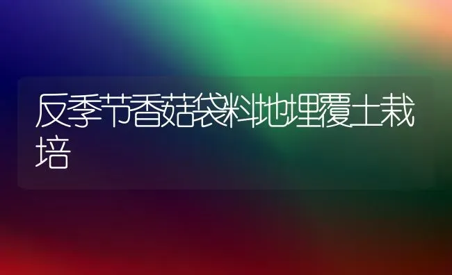 反季节香菇袋料地埋覆土栽培 | 食用菌种植