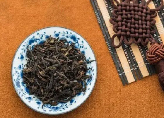 食用常识|单枞茶属于什么茶类型 单枞茶属于红茶还是绿茶