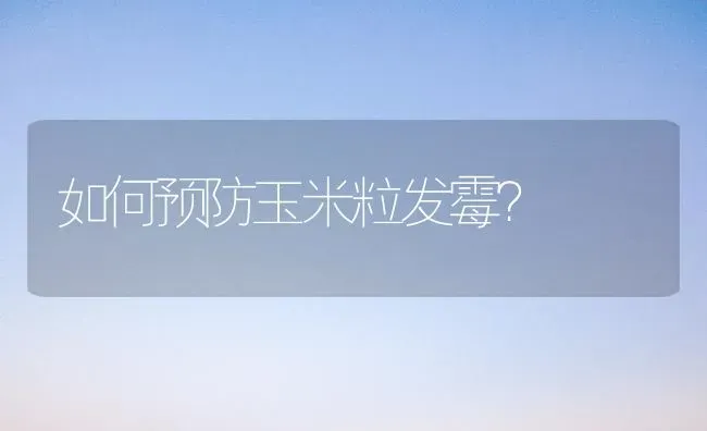 如何预防玉米粒发霉？ | 粮油作物种植