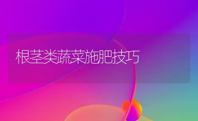 根茎类蔬菜施肥技巧 | 蔬菜种植