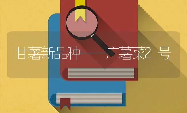 甘薯新品种——广薯菜2号 | 蔬菜种植