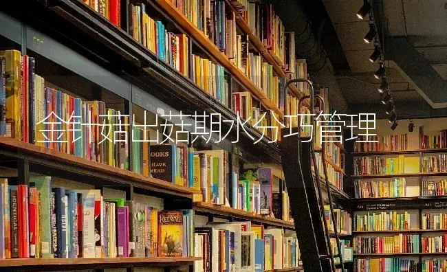 金针菇出菇期水分巧管理 | 食用菌种植
