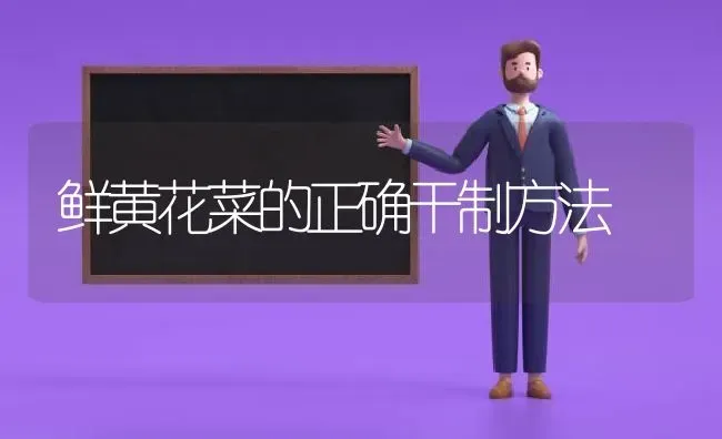 鲜黄花菜的正确干制方法 | 蔬菜种植
