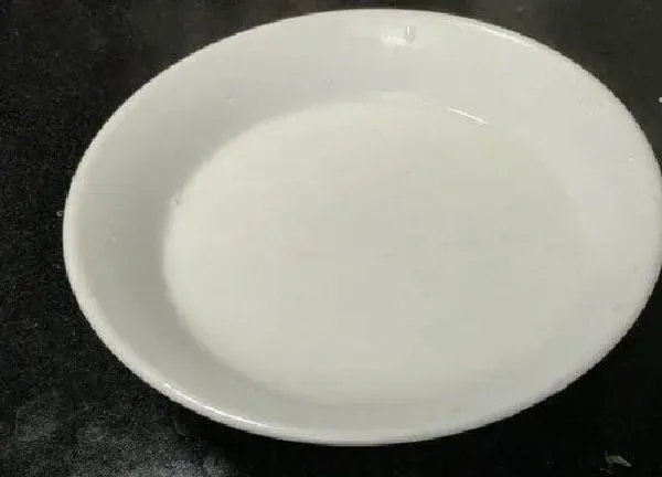 植物浇水|纯牛奶浇花好吗 纯牛奶兑水浇花有什么好处