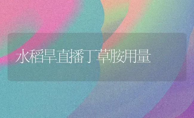 水稻旱直播丁草胺用量 | 粮油作物种植