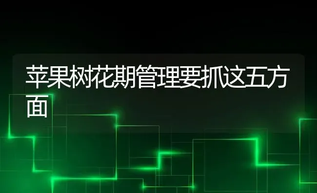 苹果树花期管理要抓这五方面 | 瓜果种植