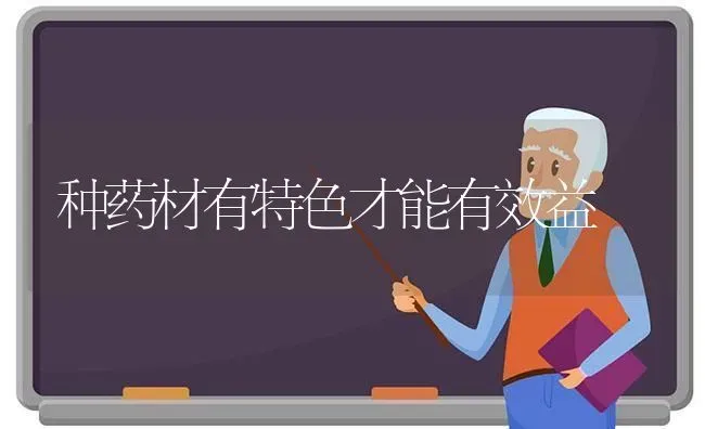 种药材有特色才能有效益 | 药材种植