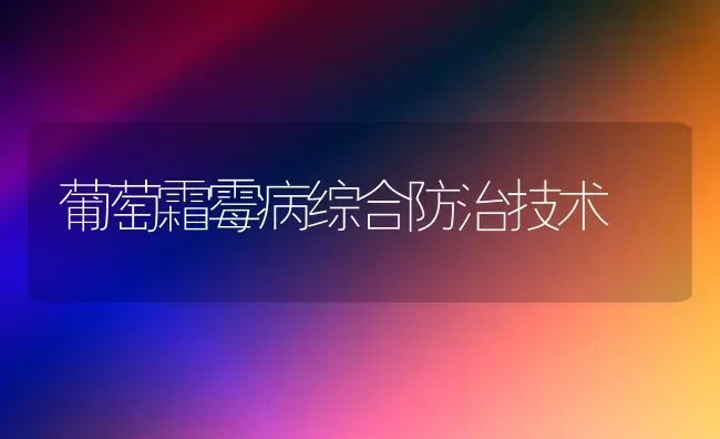 葡萄霜霉病综合防治技术 | 瓜果种植