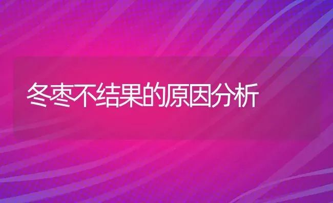 冬枣不结果的原因分析 | 瓜果种植