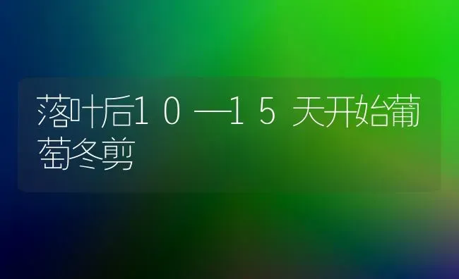 落叶后10—15天开始葡萄冬剪 | 瓜果种植