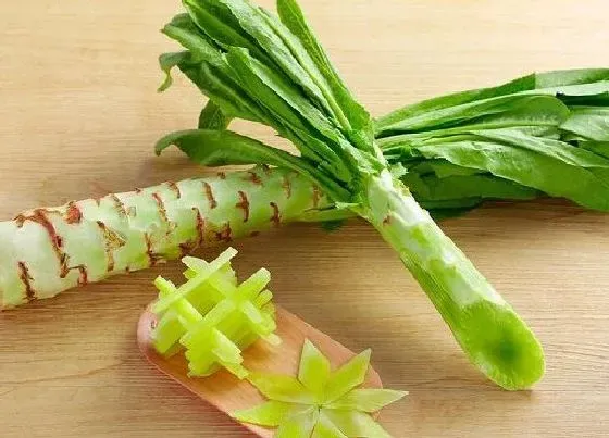 食用须知|莴笋需要焯水吗（家常清炒莴笋做法一定要焯水吗）