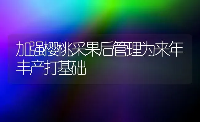 加强樱桃采果后管理为来年丰产打基础 | 瓜果种植