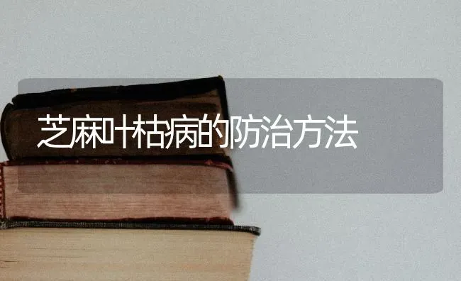 芝麻叶枯病的防治方法 | 粮油作物种植