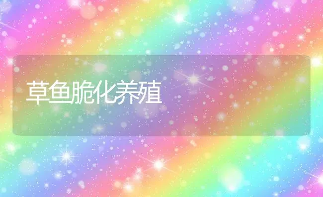 草莓定植注意事项 | 瓜果种植