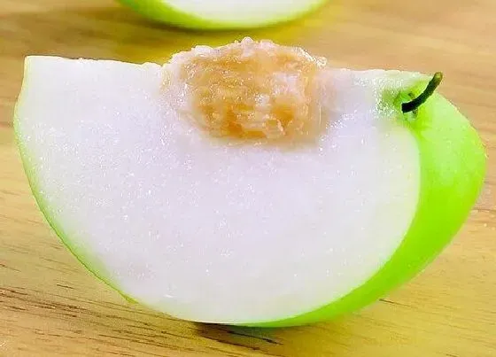 果实成熟|牛奶枣是几月份的水果