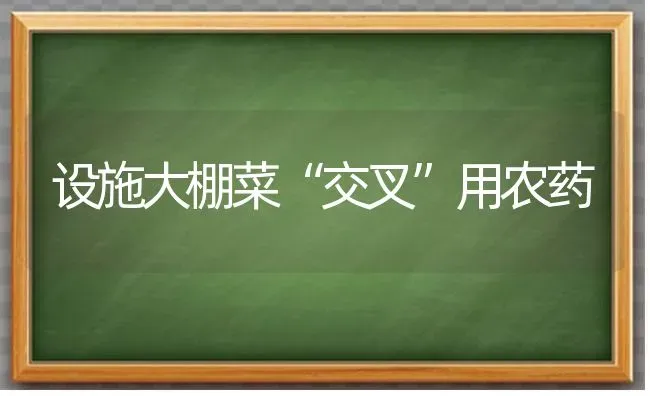 设施大棚菜“交叉”用农药 | 种植病虫害防治