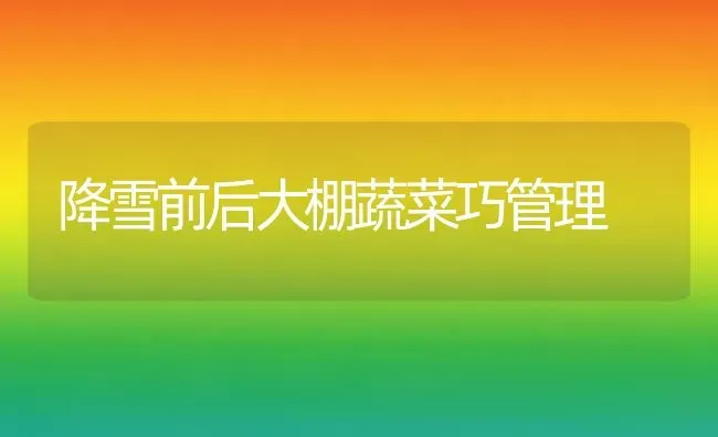 降雪前后大棚蔬菜巧管理 | 蔬菜种植
