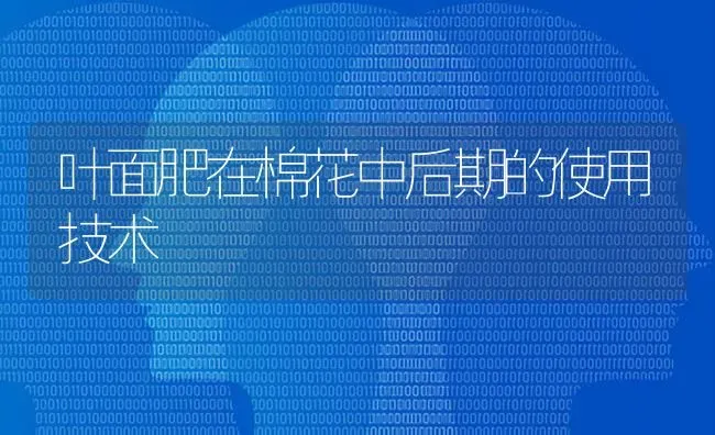 叶面肥在棉花中后期的使用技术 | 粮油作物种植