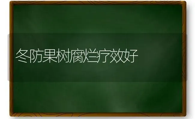 冬防果树腐烂疗效好 | 瓜果种植