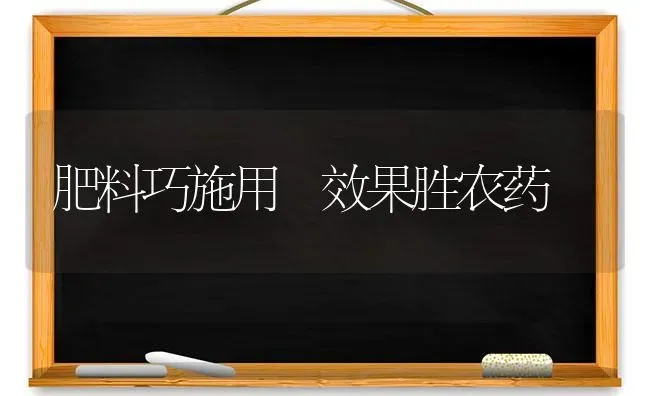 肥料巧施用 效果胜农药 | 瓜果种植