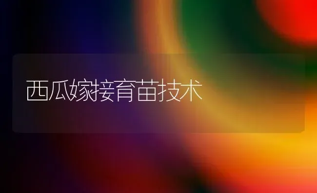 西瓜嫁接育苗技术 | 瓜果种植