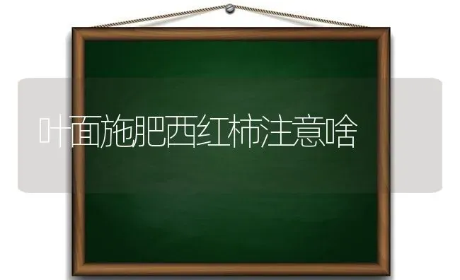 叶面施肥西红柿注意啥 | 种植肥料施肥