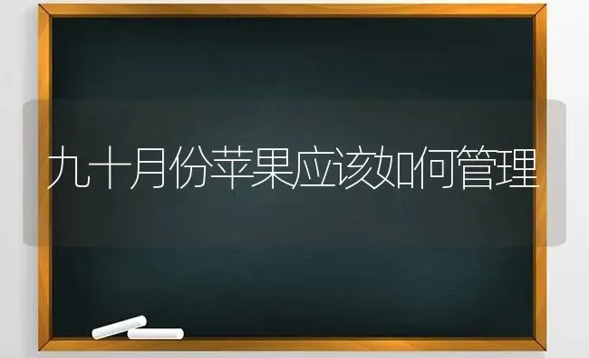 九十月份苹果应该如何管理 | 瓜果种植