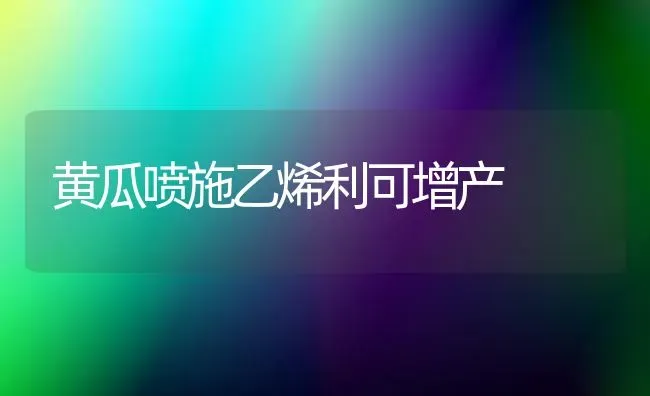 黄瓜喷施乙烯利可增产 | 蔬菜种植