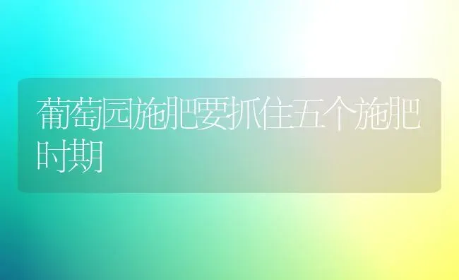 葡萄园施肥要抓住五个施肥时期 | 种植肥料施肥