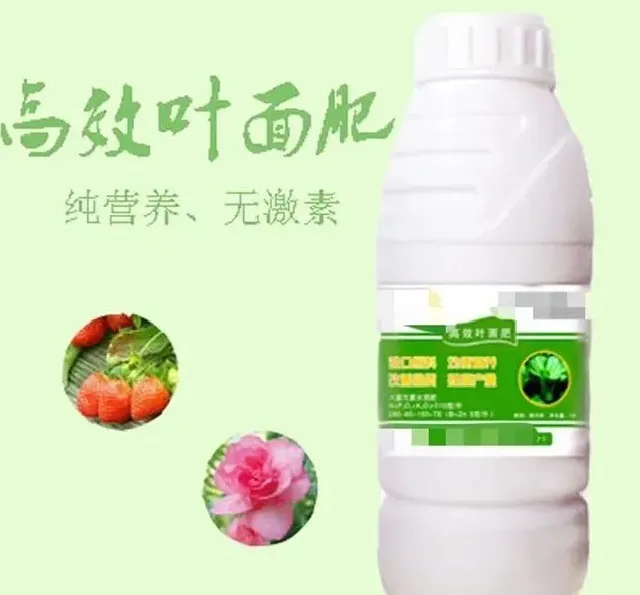 植物施肥|叶面肥料一般在什么时候使用，叶面肥在什么时间喷效果好）