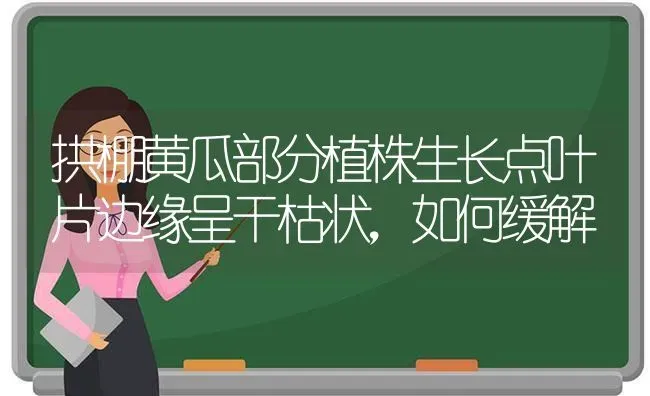 拱棚黄瓜部分植株生长点叶片边缘呈干枯状，如何缓解 | 蔬菜种植