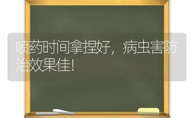 喷药时间拿捏好，病虫害防治效果佳！ | 瓜果种植