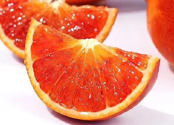 水果科普|最恐怖的水果图片 可怕的水果排行榜