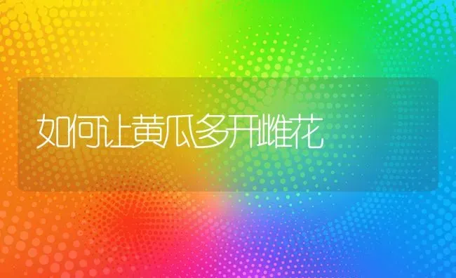如何让黄瓜多开雌花 | 蔬菜种植