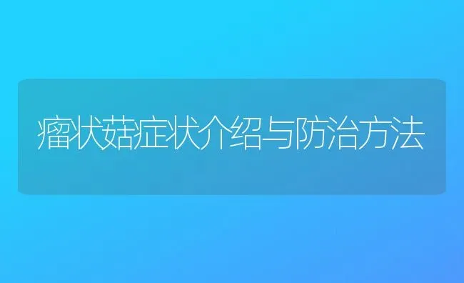 瘤状菇症状介绍与防治方法 | 食用菌种植