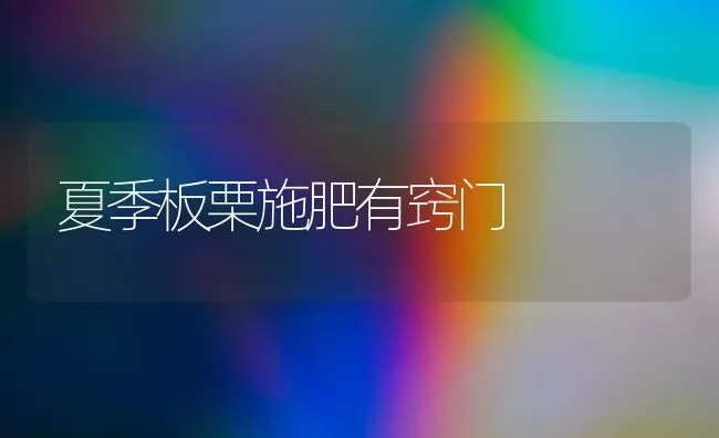 夏季板栗施肥有窍门 | 种植肥料施肥
