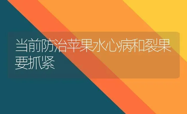 当前防治苹果水心病和裂果要抓紧 | 瓜果种植