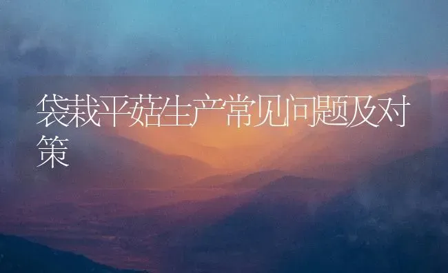 袋栽平菇生产常见问题及对策 | 食用菌种植