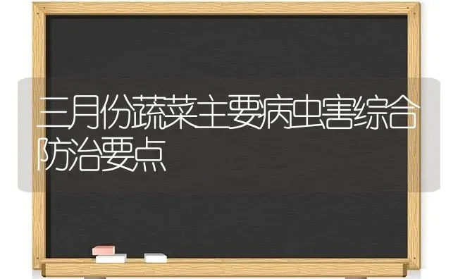 三月份蔬菜主要病虫害综合防治要点 | 蔬菜种植