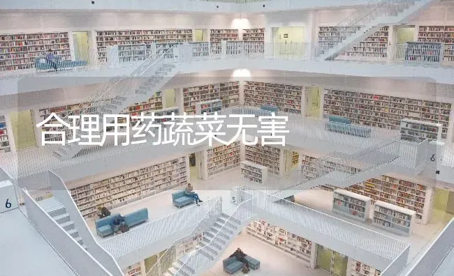 合理用药蔬菜无害 | 蔬菜种植