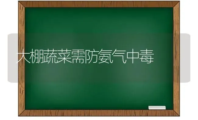 大棚蔬菜需防氨气中毒 | 蔬菜种植