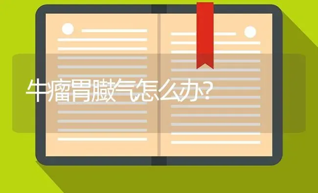 牛瘤胃臌气怎么办？ | 瓜果种植