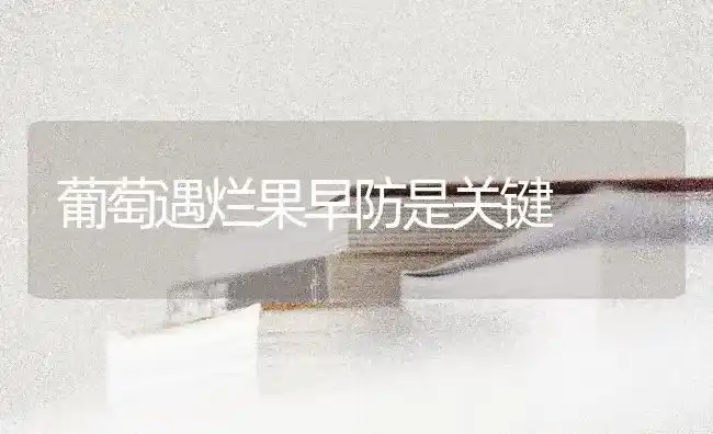 葡萄遇烂果早防是关键 | 瓜果种植