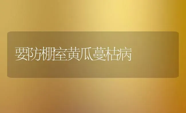 要防棚室黄瓜蔓枯病 | 蔬菜种植