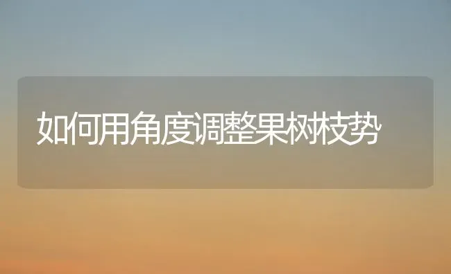 如何用角度调整果树枝势 | 瓜果种植