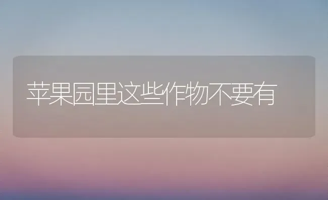 苹果园里这些作物不要有 | 瓜果种植